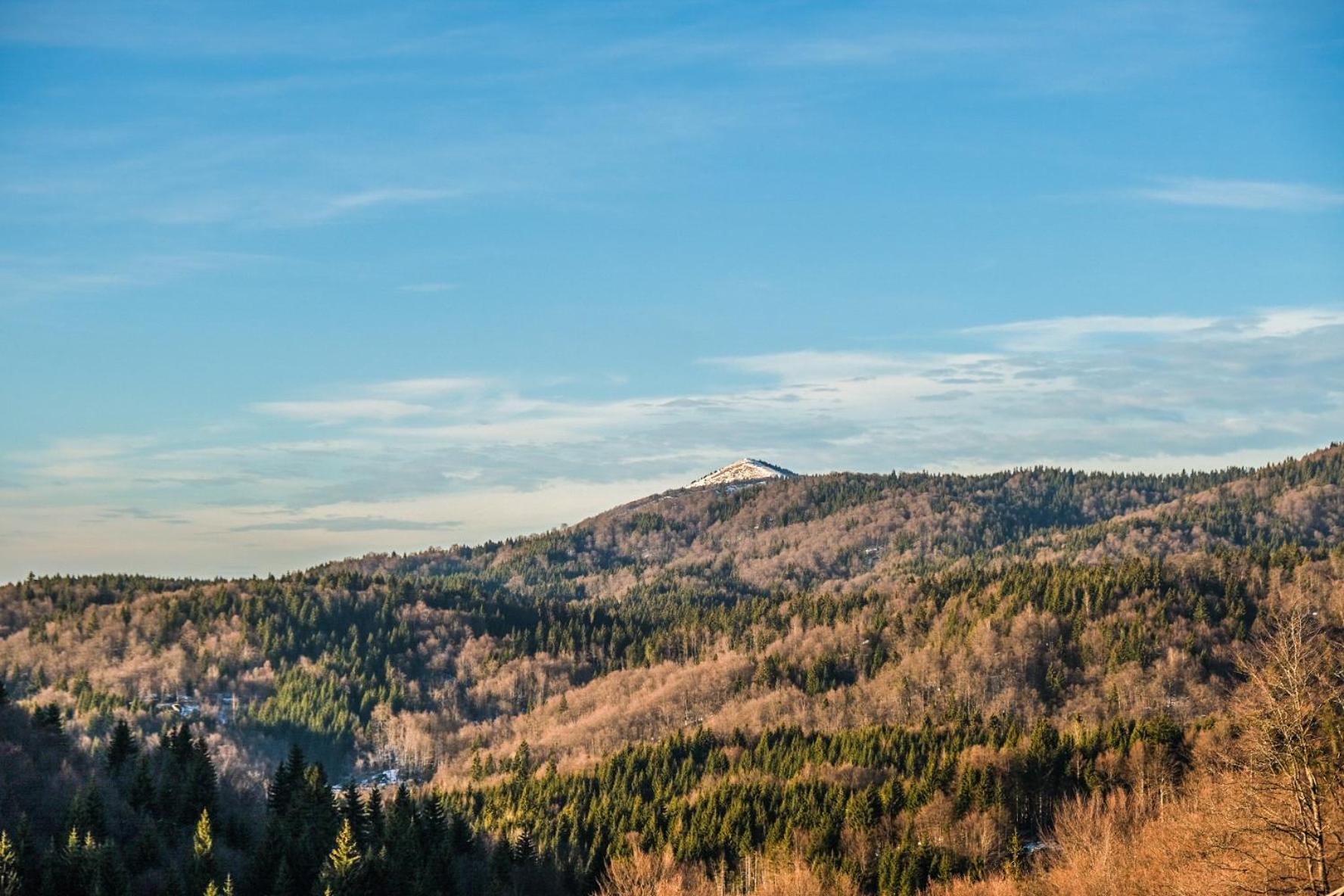 Vila Cajetinski Biser -Apartment Lux Kopaonik Zewnętrze zdjęcie